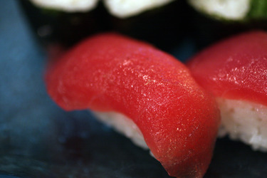 Maguro ~ Nigiri ~ tuna