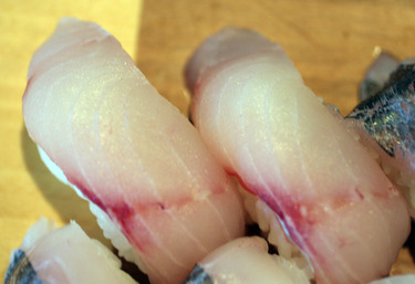 Houbou ~ Nigiri Specials ~ bluefin searobin from Japan 