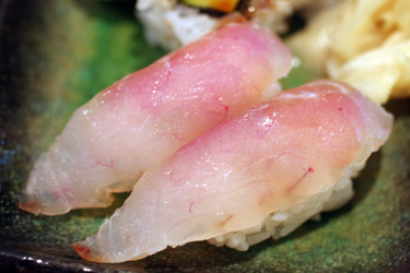 Kingotokai ~ Nigiri Specials ~ baby alfonsino from Japan