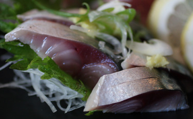 Seki Saba ~ Sashimi Specials ~ mackerel from Japan