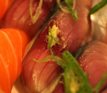 Seki Saba ~ Nigiri Specials ~ mackerel from Japan