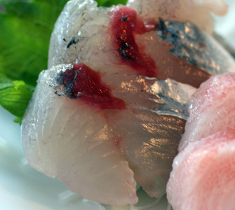 Tobiuo ~ Sashimi Specials ~ flying fish from Japan