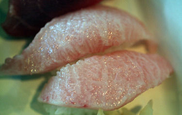 Kuromaguro Toro ~ Nigiri Specials ~ (1 piece) black tuna belly from Japan