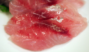 Kuromutsu ~ Sashimi Specials ~ bluefish from Japan