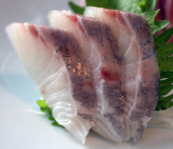 Medai ~ Sashimi Specials ~ Japanese butterfish