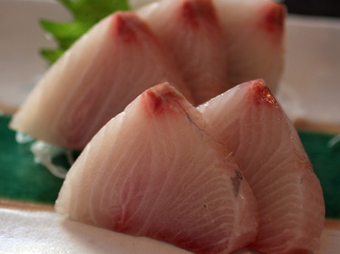 Hiramasa ~ Sashimi ~ amberjack from Japan
