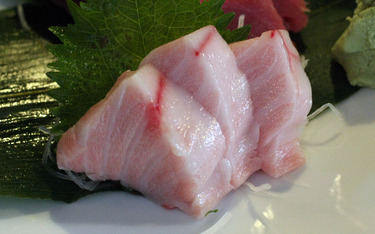 Kuromaguro Toro ~ Sashimi Specials ~ (3 pieces) black tuna belly from Japan