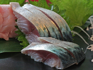 Goma Saba ~ Sashimi Specials ~ spotted mackerel from Japan