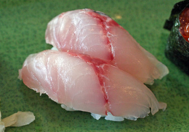 Tsuri Aji ~ Nigiri Specials ~ jack mackerel from Japan