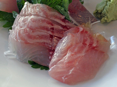 Kodai ~ Sashimi Specials ~ young sea bream from Japan