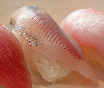 Ayu ~ Nigiri Specials ~ sweet fish from Japan