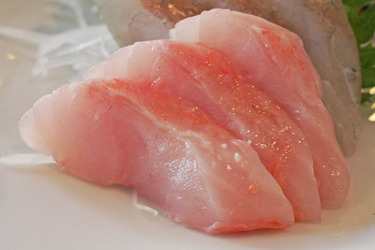 Kinmedai ~ Sashimi Specials ~ golden eye snapper from Japan