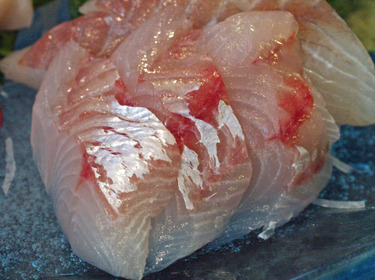 Houbou ~ Sashimi Specials ~ bluefin searobin from Japan 