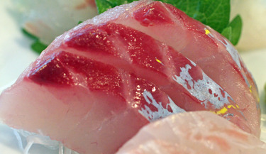 Itoyoridai ~ Sashimi Specials ~ goldenthread snapper from Nagasaki Japan