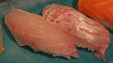 Madai ~ Nigiri Specials ~ seabream from Japan