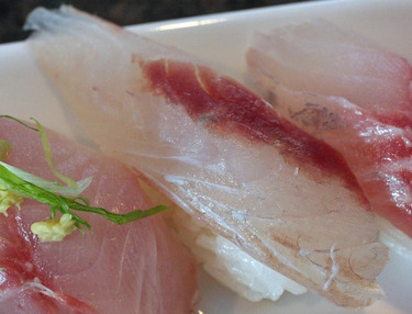 Kochi ~ Nigiri Specials ~ bar-tailed flathead from Japan