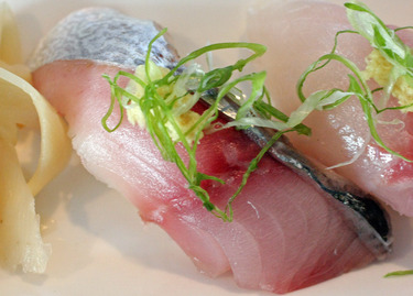 Goma Saba ~ Nigiri Specials ~ spotted mackerel from Japan