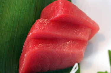 Hon Maguro ~ Sashimi Specials ~ bluefin tuna farmed sustainable in Japan