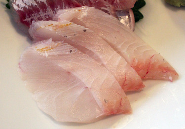 Managatsuo ~ Sashimi Specials ~ Japanese butterfish from Japan