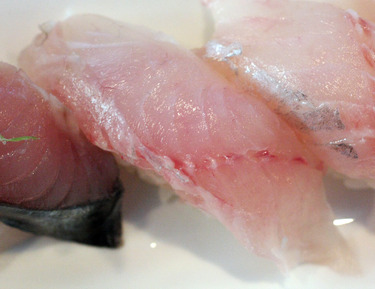 Kodai ~ Nigiri Specials ~ young sea bream from Japan