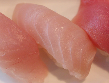 Ivory King Salmon ~ Nigiri Specials ~ wild caught Alaskan King Ivory Salmon