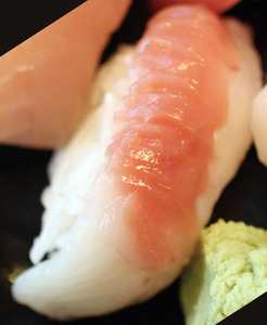 Hagi ~ Nigiri Specials ~ surgeon fish from Japan