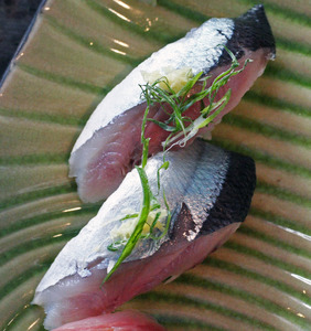 Sanma ~ Nigiri Specials ~ saury pike from Japan