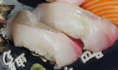 Kampachi ~ Nigiri Specials ~ amberjack from Hawaii