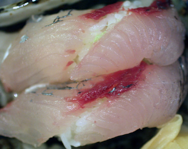 Tobiuo ~ Nigiri Specials ~ flying fish from Japan