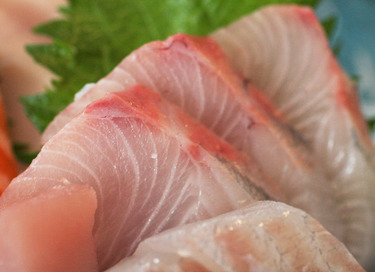 Kampachi ~ Sashimi Specials ~ amberjack from Hawaii