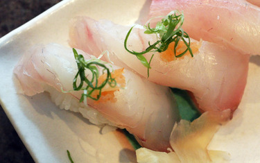 Local Halibut ~ from the west coast