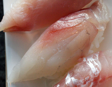 Kurodai ~ Nigiri Specials ~ black sea bream from Japan