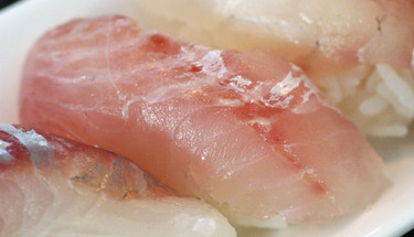 Tai ~ Nigiri Specials ~ seabream from Japan