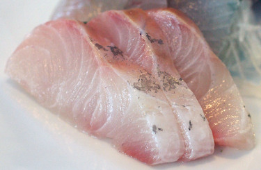 Kampachi ~ Sashimi Specials ~ amberjack from Hawaii