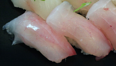 Onagadai ~ Nigiri Specials ~ long-tail snapper from Japan