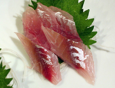 Kamasu ~ Sashimi Specials ~ barracuda from Japan