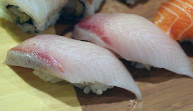Hon Hamachi ~ yellowtail farmed sustainable in Japan
