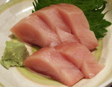Hon Hamachi ~ yellowtail farmed sustainable in Japan