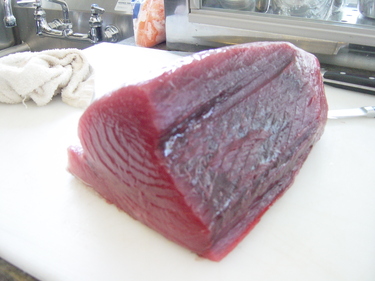 Maguro ~ tuna