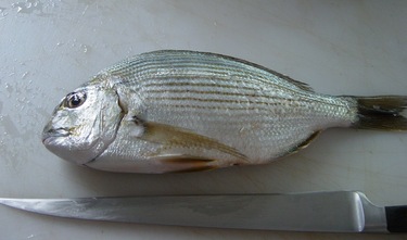 Hedai ~ porgy from Japan