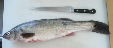 Tennen Suzuki ~ Wild sea bass from Japan