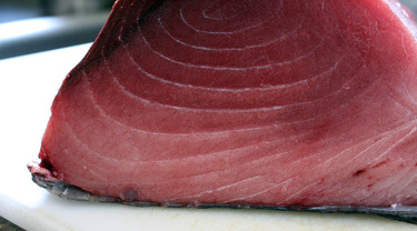 Mebachi Tuna Toro ~ fatty big-eyed tuna from Equador