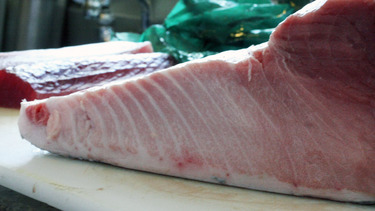 Kuromaguro Toro ~ black tuna belly from Japan