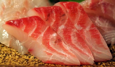 Korodai ~ Sashimi Specials ~ black all from Japan