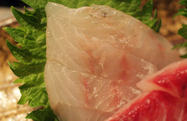 Ishimochi ~ Sashimi Specials ~ white croaker from Japan