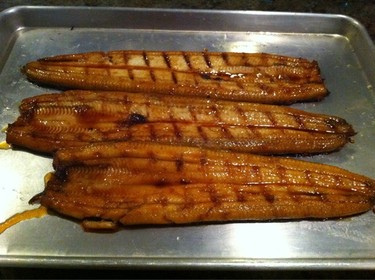 Ikejime Unagi ~ fresh water eel from Japan