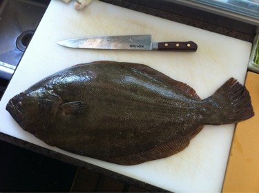 Hirame ~ halibut