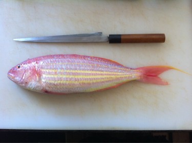 Itoyoridai ~ goldenthread snapper from Nagasaki Japan