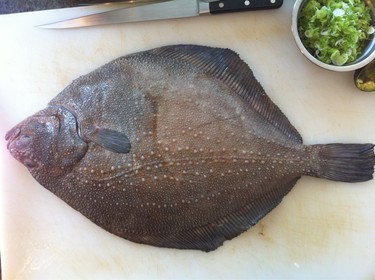 Samegawa Karei ~ shark-skin flounder from Japan