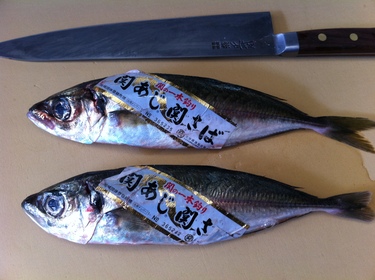 Seki Aji ~ jack mackerel from Japan